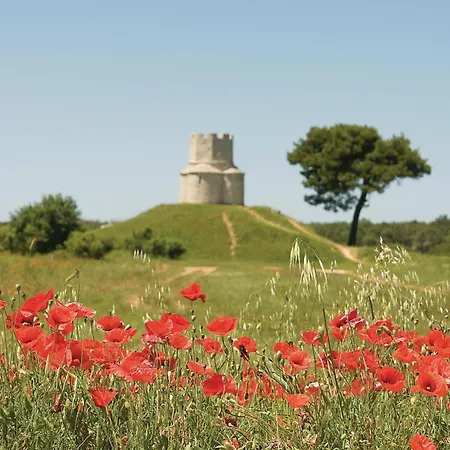 Appartamento In With Wifi
