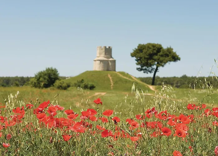 Apartment In With Wifi